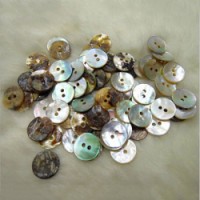 Shell Buttons