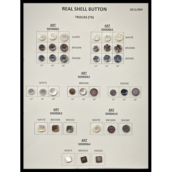 SHELL 04