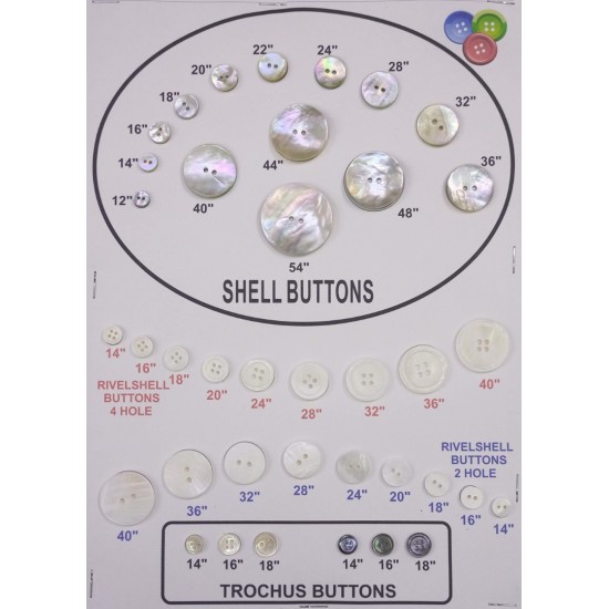 SHELL 05